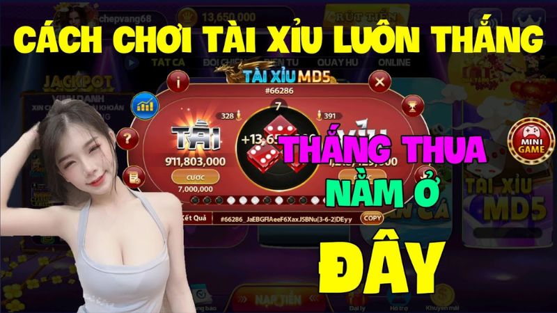 hướng dẫn chơi tài xỉu online