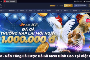 MCW - Nền Tảng Cá Cược Đá Gà Mcw Đỉnh Cao Tại Việt Nam
